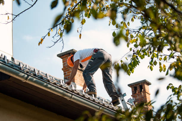 Best Best Roofing Contractors  in Latimer, MS