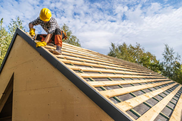 Roof Gutter Cleaning in Latimer, MS